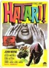 Hatari! (1962)3.jpg